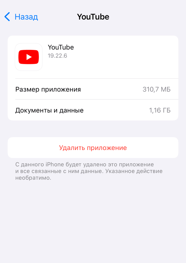 Экран приложения YouTube в хранилище iPhone