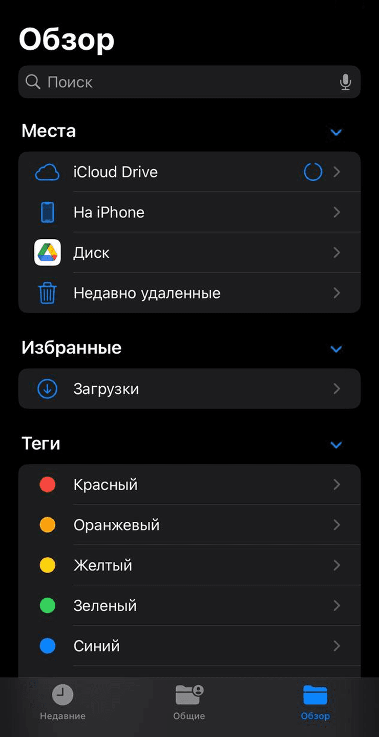 Раздел Обзор в приложении Файлы на iPhone