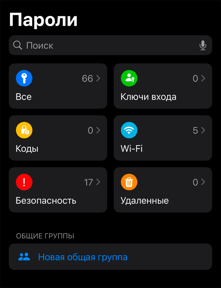 Главный экран приложения Пароли на iPhone