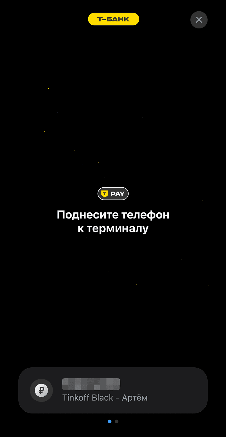 Экран оплаты T-Pay на iPhone
