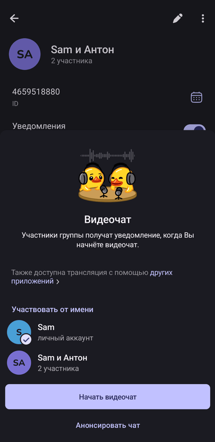 Экран видеочата с записью