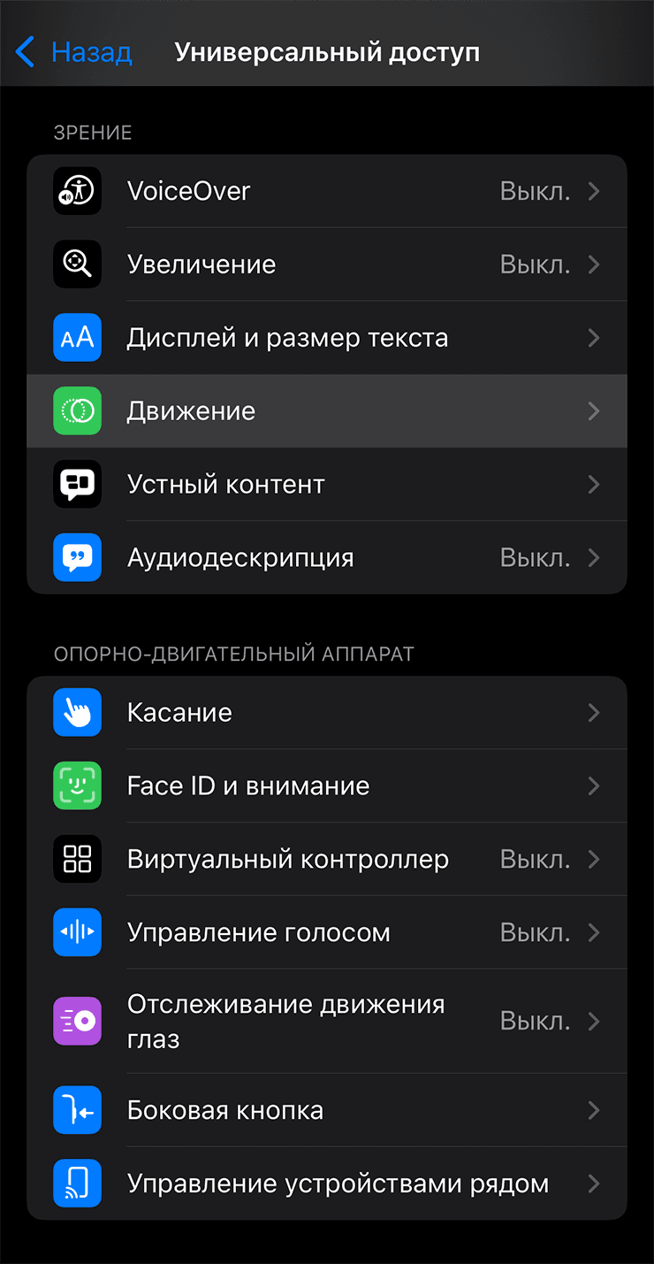 Раздел Универсальный доступ на iPhone