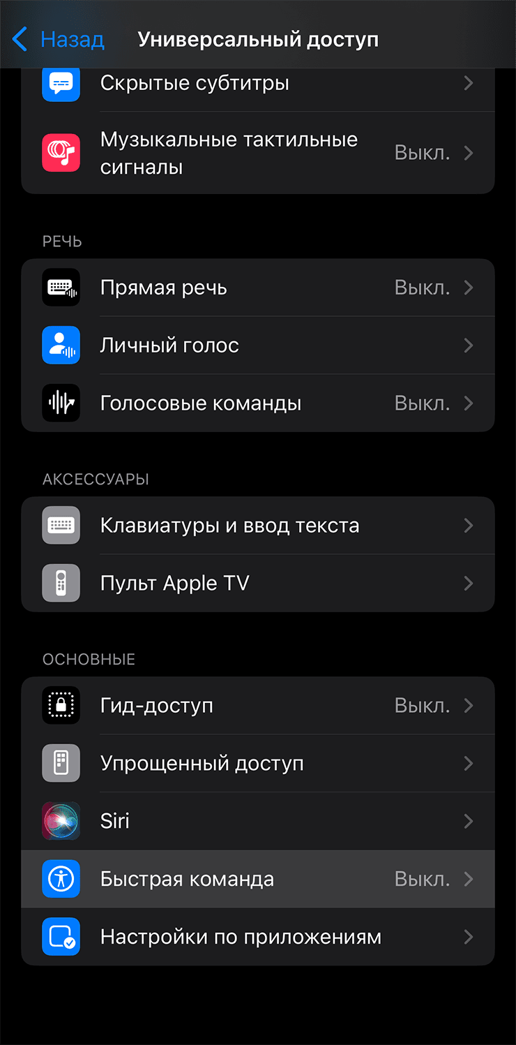 Пункт Быстрая команда в настройках универсального доступа iPhone