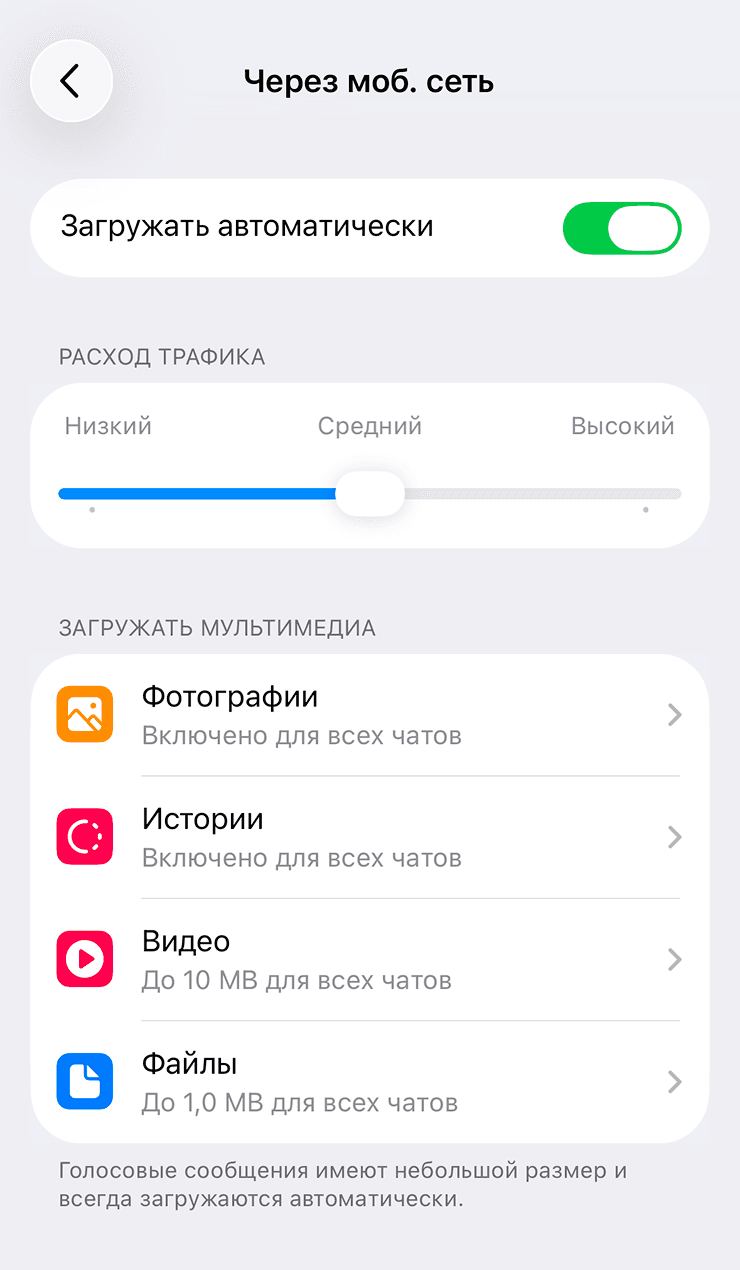 Настройки автозагрузки Telegram через мобильную сеть