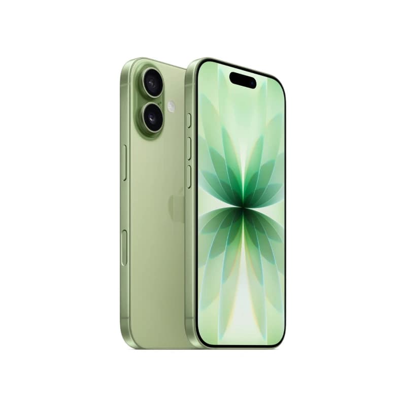 Apple iPhone 17 256GB Sage (eSIM) - фото 2