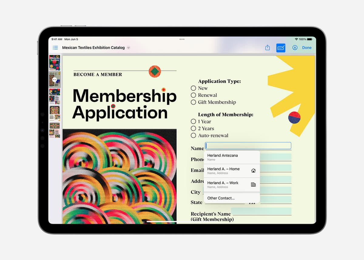 PDF-форма на экране iPad
